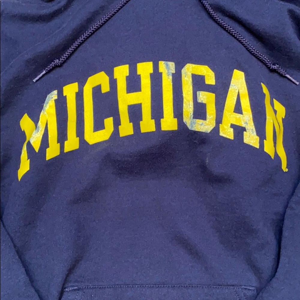 Champion University of Michigan Hoodie - Picture 2 of 5